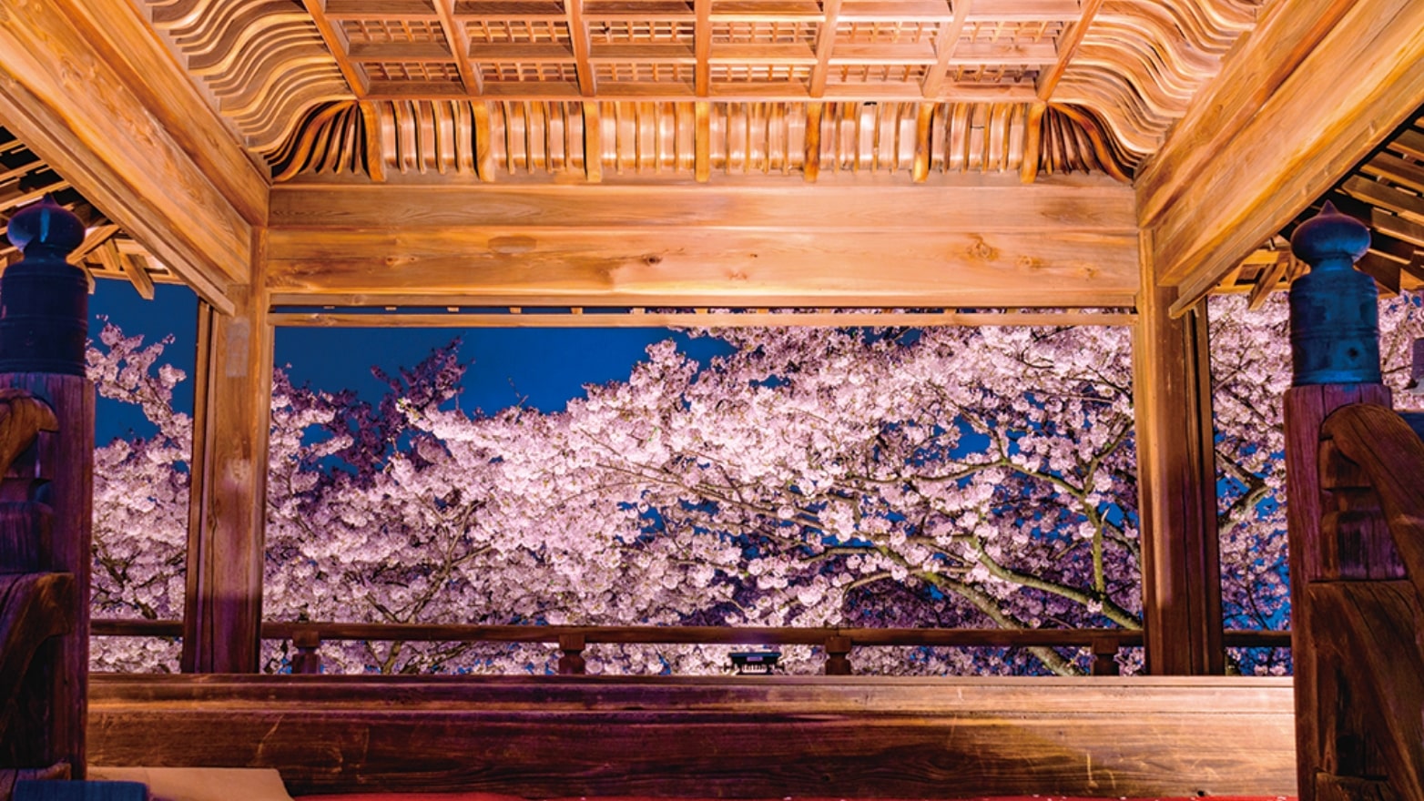 三井寺の四季　春